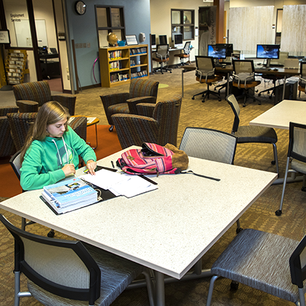 Student studying in LRC