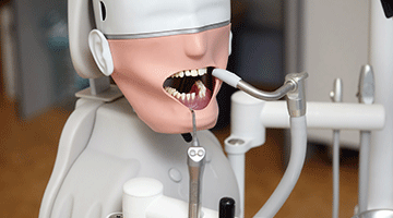 dummy for dental training