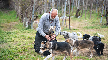 Aging adult playing with dogs