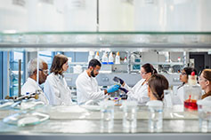 DIVERSE GROUP working in the laboratory