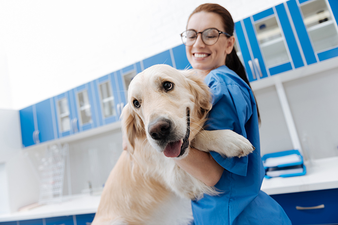 A vet tech smiling and holding a dog